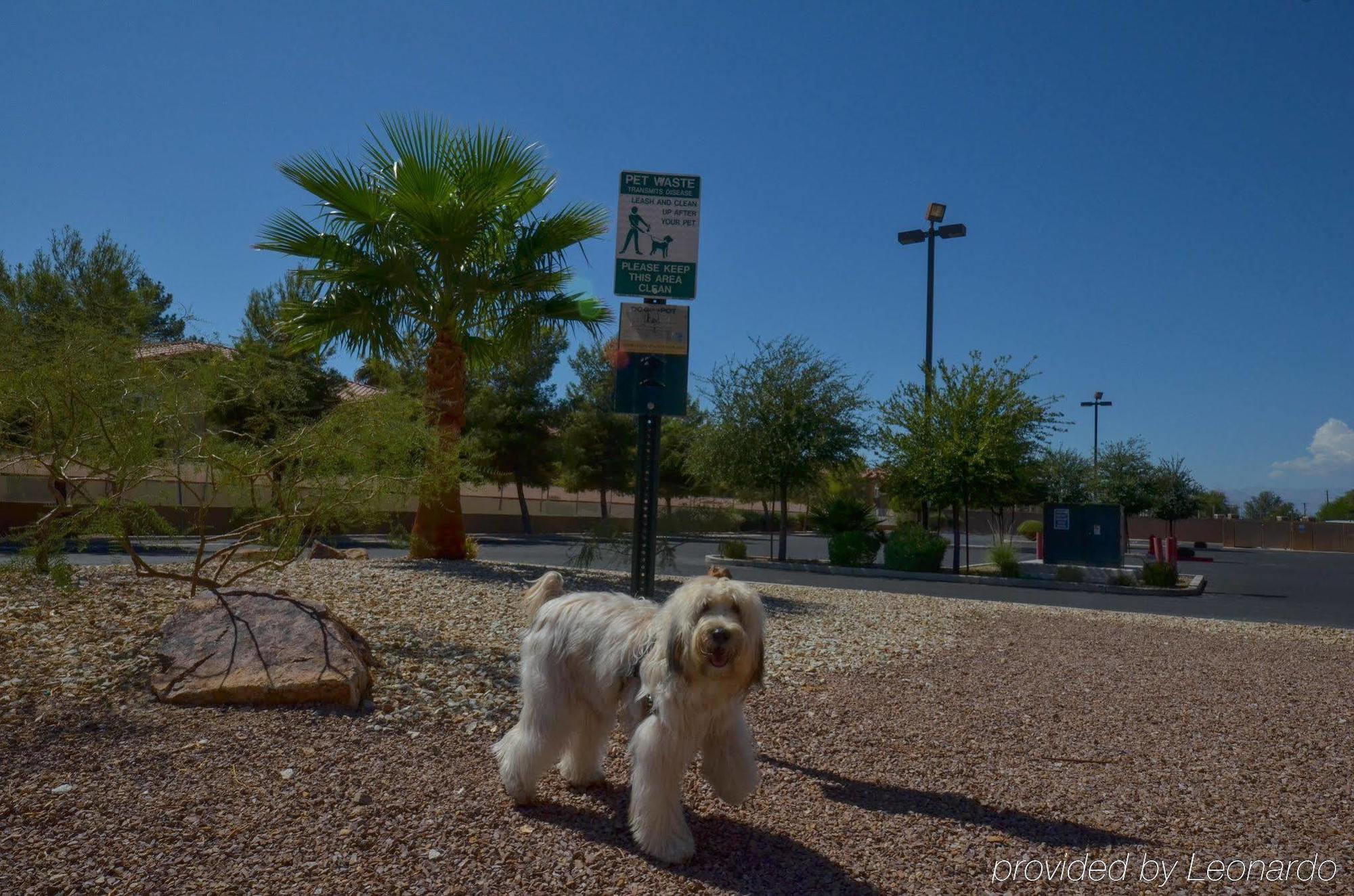 Holiday Inn Express Las Vegas-Nellis By Ihg Extérieur photo
